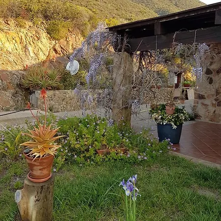 Hotel Sardus Pater 3*